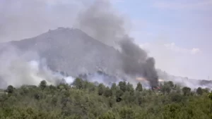 Incendis forestals